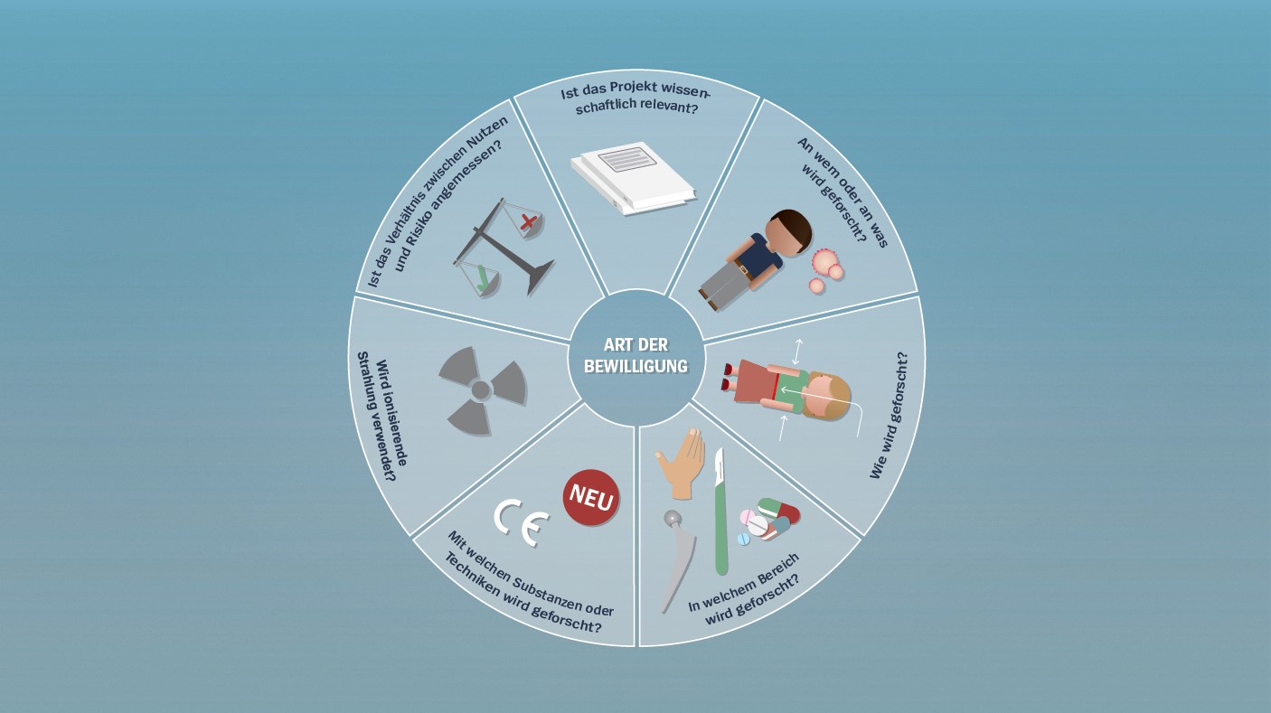 Bestimmungsfaktoren für Humanforschungsprojekte: Auf Basis der verschiedenen Faktoren werden Humanforschungsprojekte gemäss den gesetzlichen Vorgaben eingeteilt und geprüft.