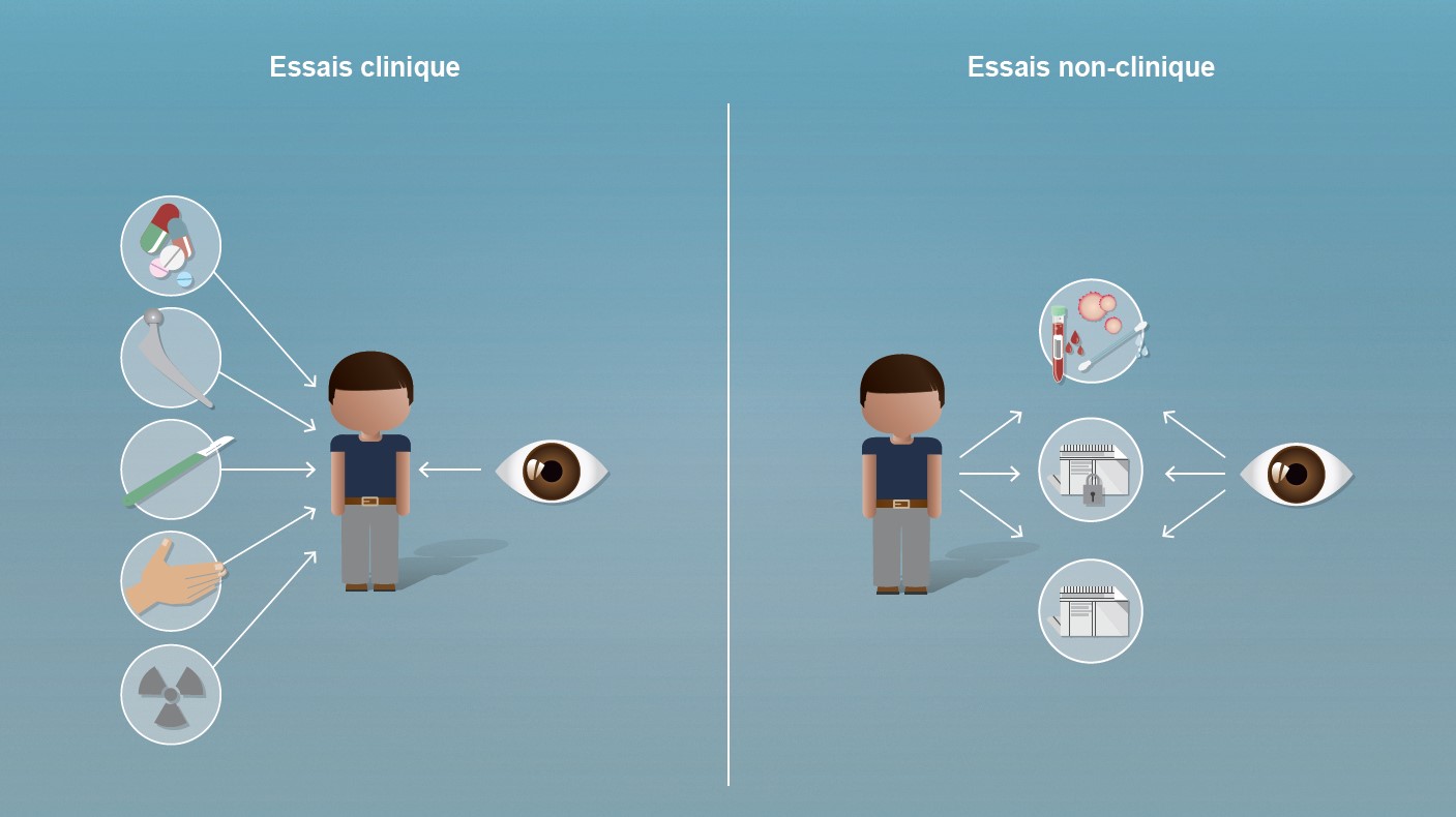 Projets de recherche sur des personnes: Les projets de recherche menés sur des personnes peuvent être subdivisés en deux groupes, en fonction du type d’effets qu’ils exercent sur les participants.